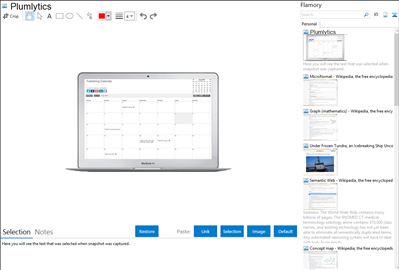 Plumlytics - Flamory bookmarks and screenshots