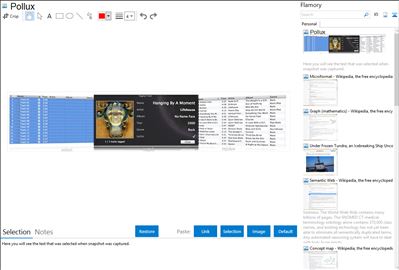 Pollux - Flamory bookmarks and screenshots