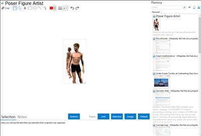 Poser Figure Artist - Flamory bookmarks and screenshots
