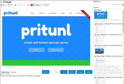 Pritunl - Flamory bookmarks and screenshots