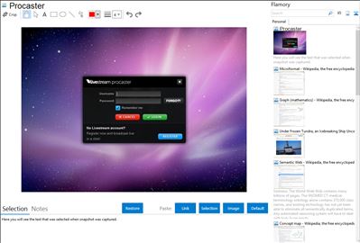 Procaster - Flamory bookmarks and screenshots