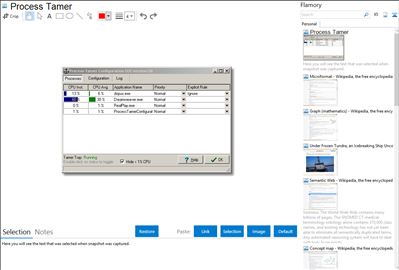 Process Tamer - Flamory bookmarks and screenshots