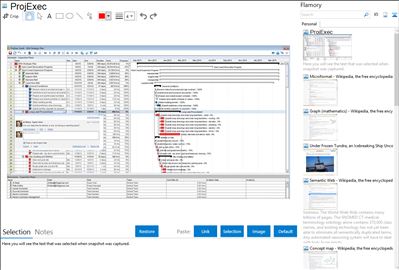 ProjExec - Flamory bookmarks and screenshots