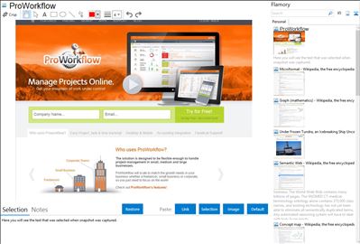 ProWorkflow - Flamory bookmarks and screenshots