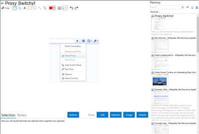 Proxy Switchy! - Flamory bookmarks and screenshots