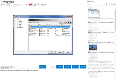 Proxycap - Flamory bookmarks and screenshots