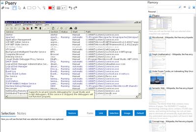 Pserv - Flamory bookmarks and screenshots