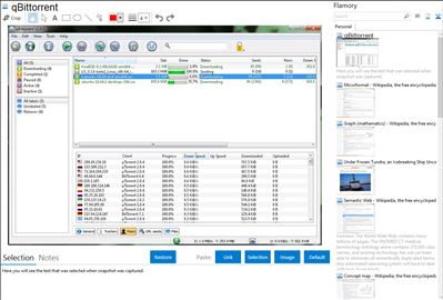 qBittorrent - Flamory bookmarks and screenshots