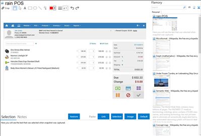 rain POS - Flamory bookmarks and screenshots
