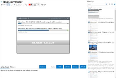 RealDownloader - Flamory bookmarks and screenshots