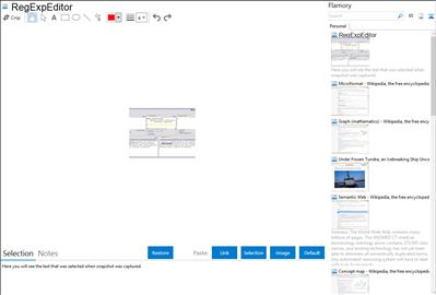 RegExpEditor - Flamory bookmarks and screenshots