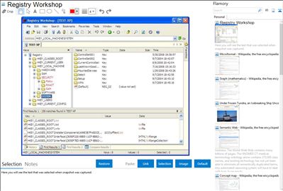 Registry Workshop - Flamory bookmarks and screenshots