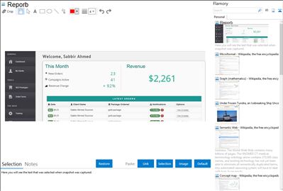 Reporb - Flamory bookmarks and screenshots