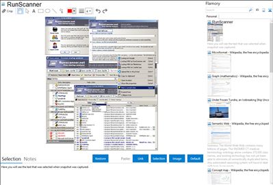 RunScanner - Flamory bookmarks and screenshots