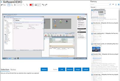 SoftwareDEMO - Flamory bookmarks and screenshots