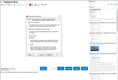 Taekwindow - Flamory bookmarks and screenshots