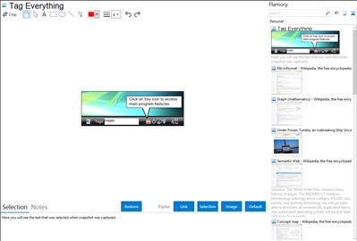 Tag Everything - Flamory bookmarks and screenshots