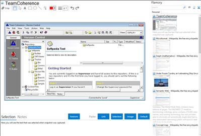 TeamCoherence - Flamory bookmarks and screenshots