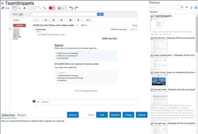 TeamSnippets - Flamory bookmarks and screenshots