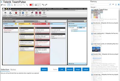 Telerik TeamPulse - Flamory bookmarks and screenshots