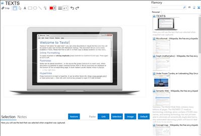 TEXTS - Flamory bookmarks and screenshots