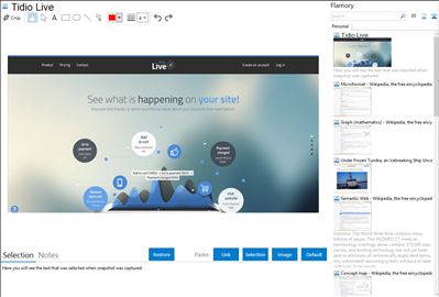 Tidio Live - Flamory bookmarks and screenshots