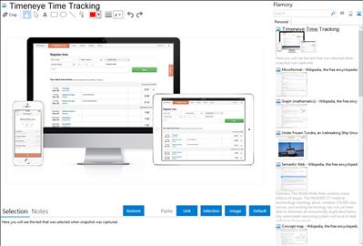 Timeneye Time Tracking - Flamory bookmarks and screenshots