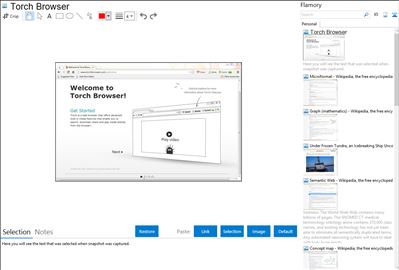 Torch Browser - Flamory bookmarks and screenshots