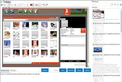 Tribler - Flamory bookmarks and screenshots