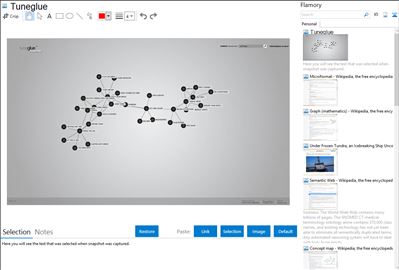 Tuneglue - Flamory bookmarks and screenshots