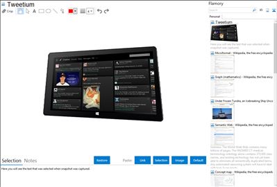 Tweetium - Flamory bookmarks and screenshots