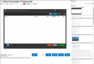 Video Downloader Professional - Flamory bookmarks and screenshots
