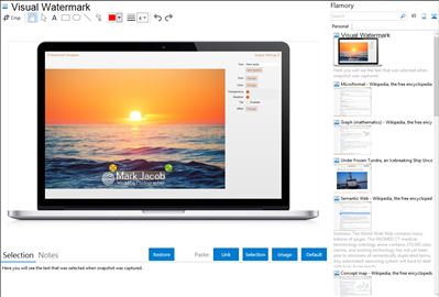Visual Watermark - Flamory bookmarks and screenshots