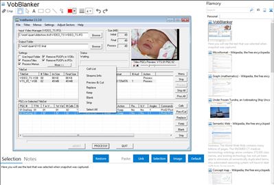 VobBlanker - Flamory bookmarks and screenshots